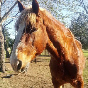 Meet your Posher, Rebecca